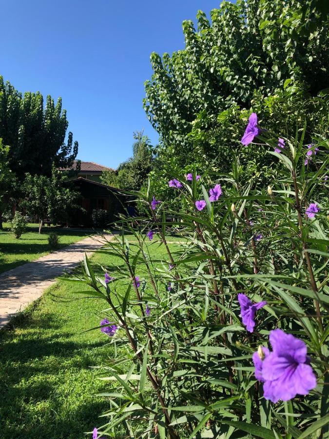 Ozge Bungalow Hotel Чирали Экстерьер фото